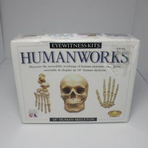 HUMANWORKS EYEWITNESS 18" CASTING KIT HUMAN SKELETON